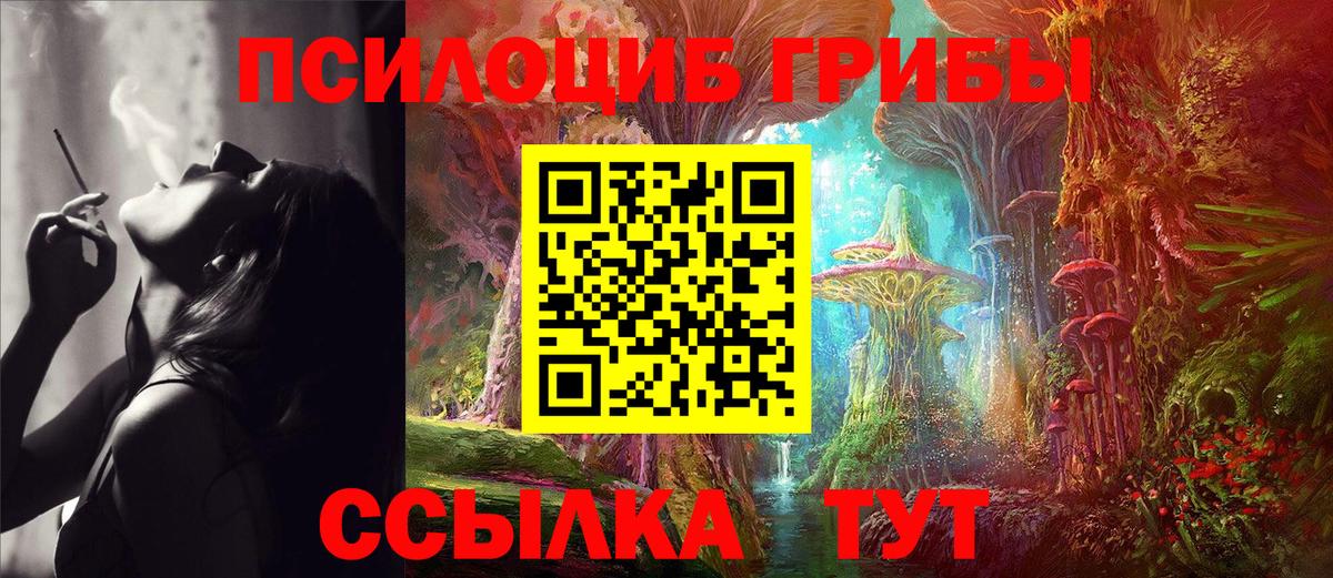 как найти закладки  Вход с VPN  Советский  Псилоцибиновые грибы Cubensis 